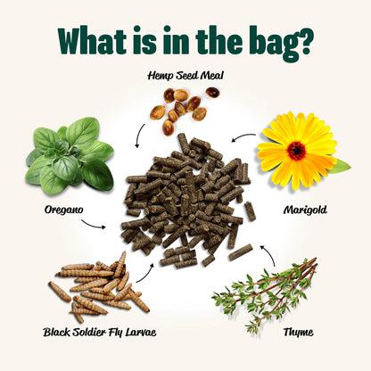 Natural chicken feed supplement featuring hemp seed meal, black soldier fly larvae, oregano, marigold, and thyme by Eaton Pe
