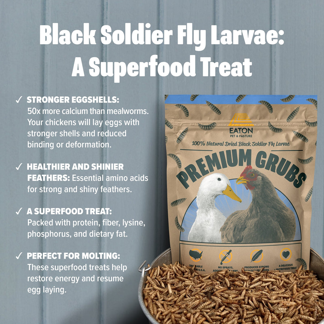 Chicken Snack Pack Bundle - Protein Grubs & Hemp Treats