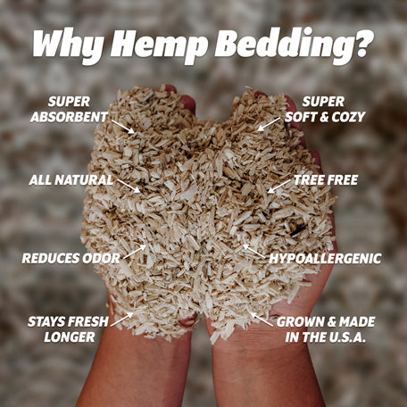 Premium hemp pet bedding in hands, low dust, absorbent, all-natural, eco-friendly, USA grown by Eaton Pet and Pasture.
