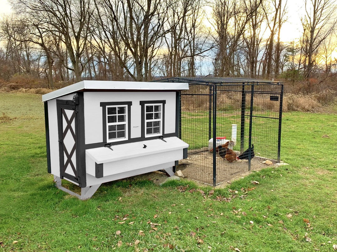 Gallinero grande: hasta 15 gallinas 