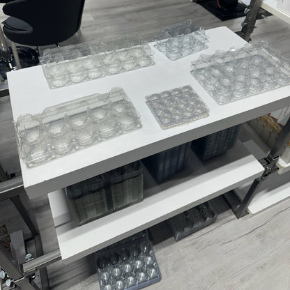 Clear plastic 12-egg carton for quail eggs by Hatching Time, designed for bulk packaging and easy display.