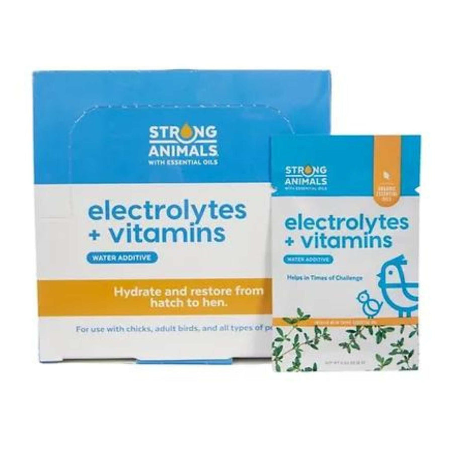 Electrolyte and vitamin pack for chickens by Hatching Time, designed for heat stress relief and overall flock health.