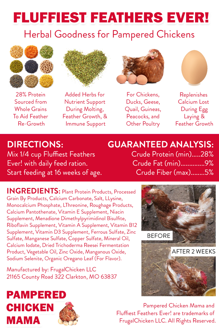 High Protein Chicken Feed Supplement - Non-GMO Molting Support