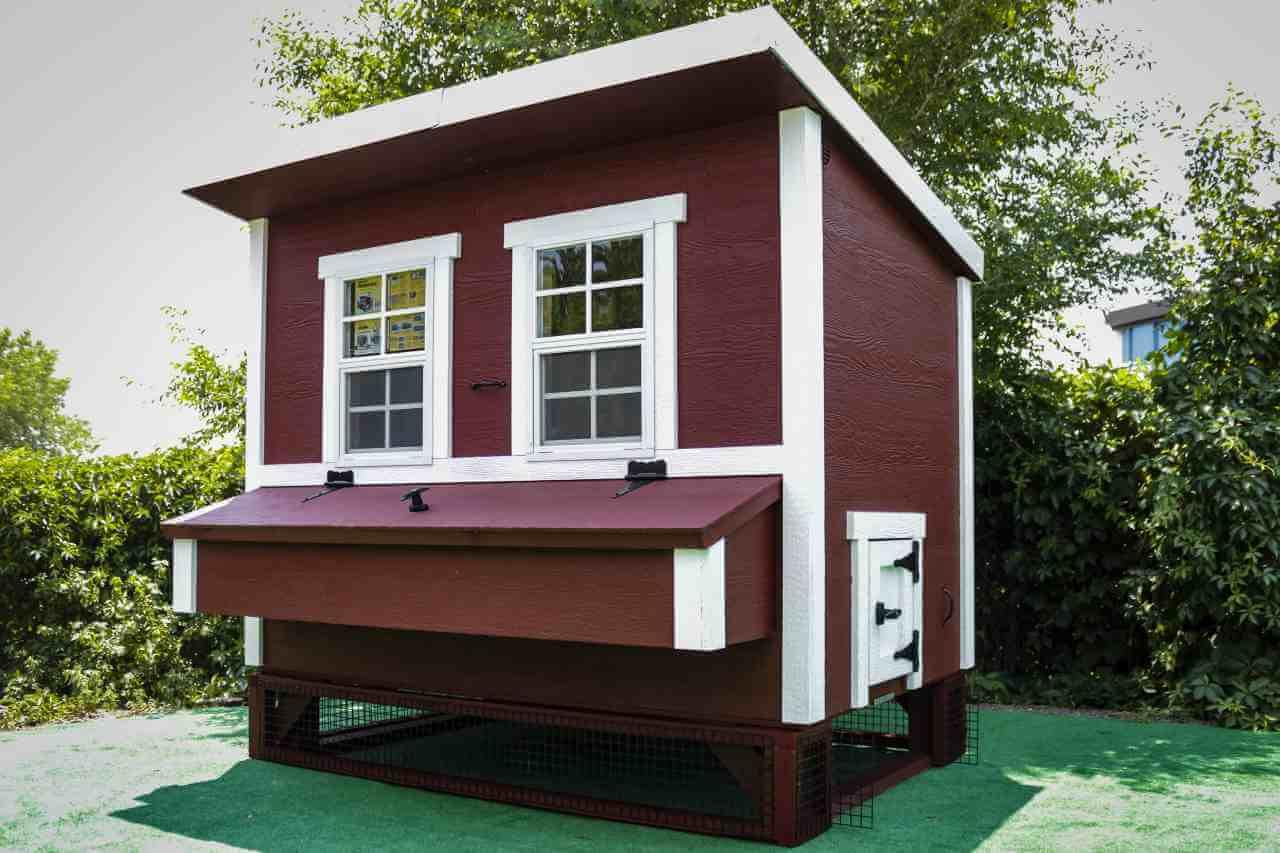 Large wire chicken coop panels with pressure treated wood frame in classic color, 5-panel set featuring 16-gauge wire mesh