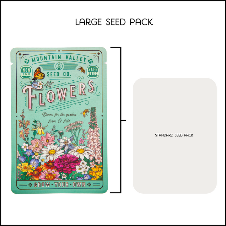 Lemon Queen Sunflower