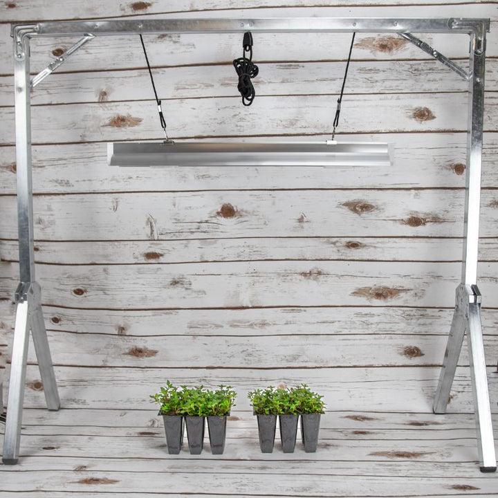 2-Foot Light System with One Lamp