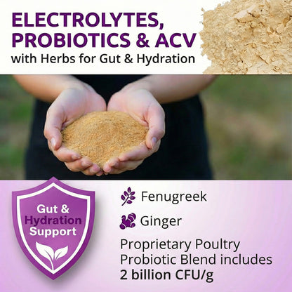 AquaBoost – Electrolytes and Probiotics for Backyard Chickens