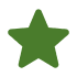 Green star shape on a white background