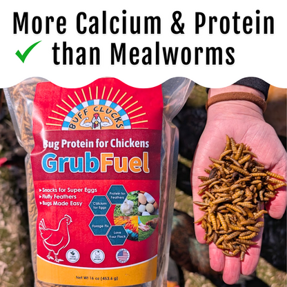 GrubFuel - Black Soldier Fly Larvae for chickens