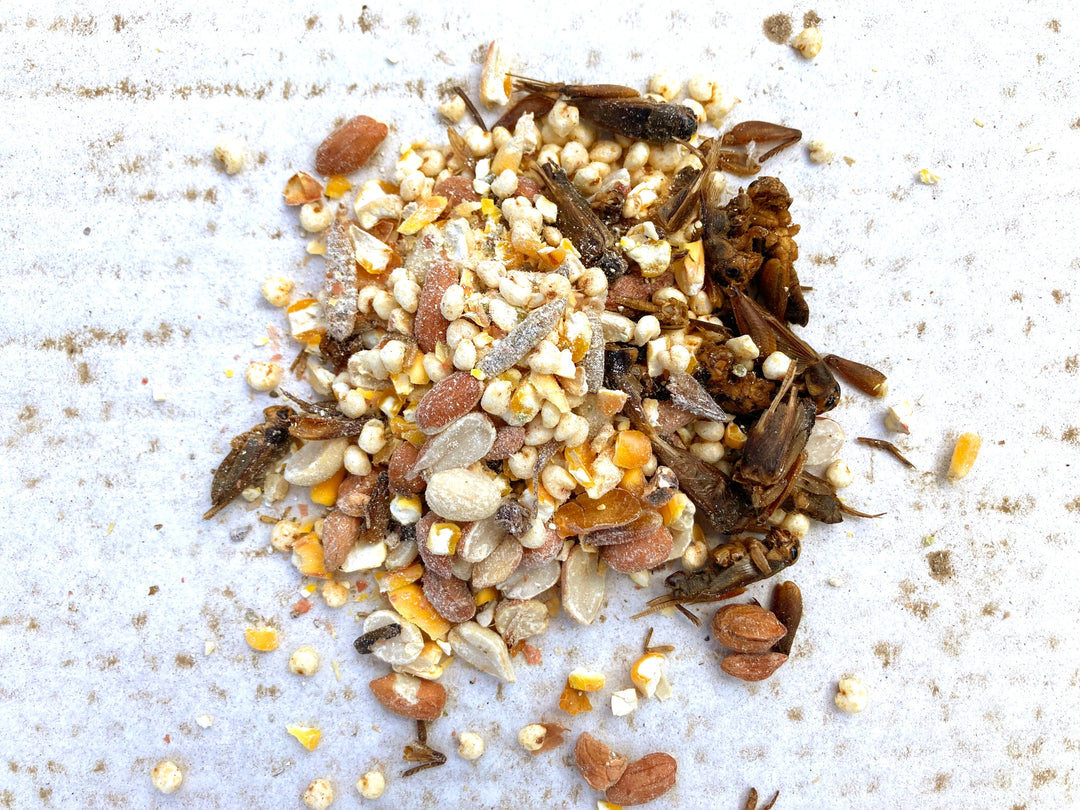 Henergy Textured Chicken Treat - Protein-Rich Insect Mix