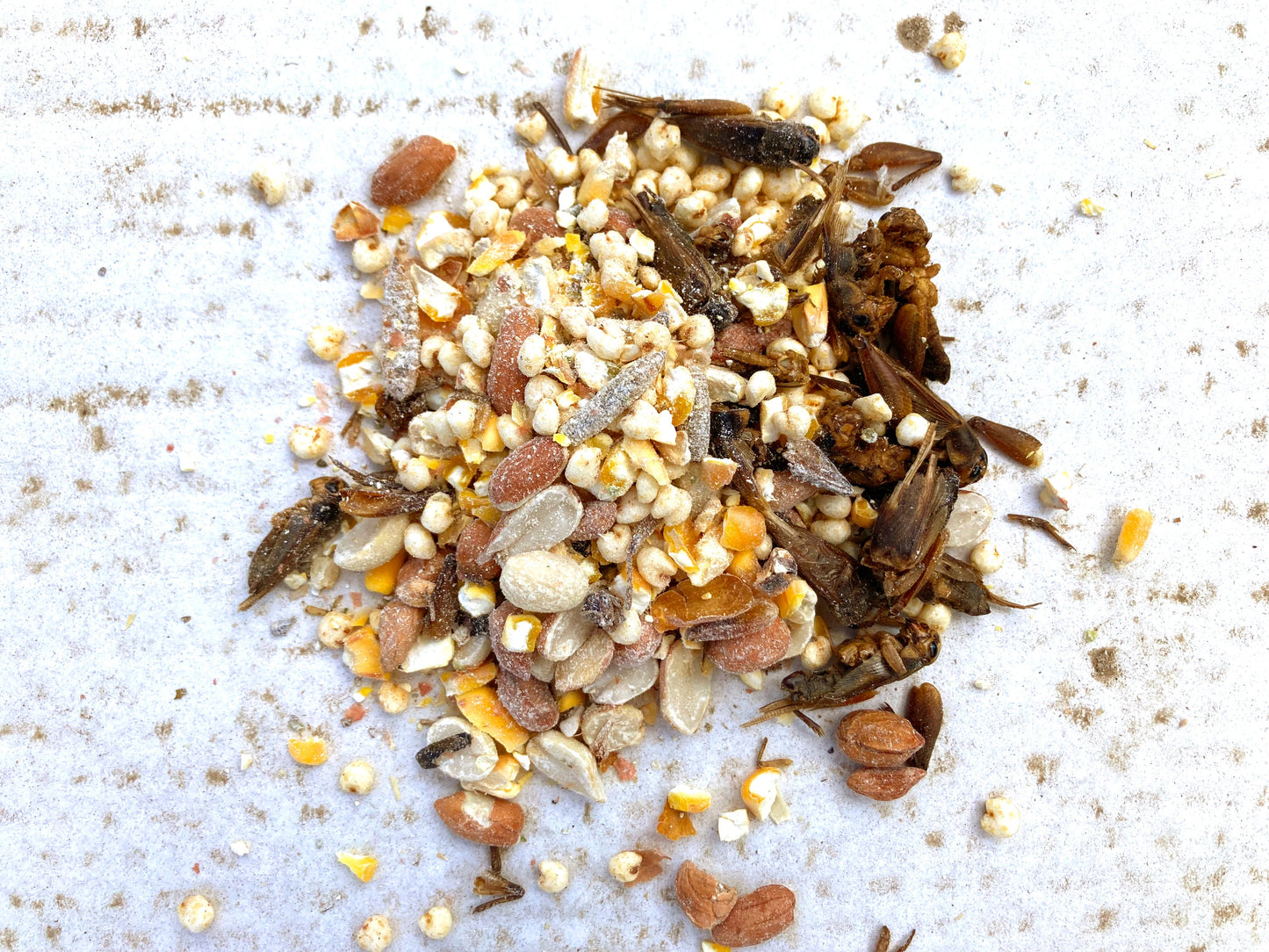 Henergy textured chicken treat made with protein-rich insect mix, featuring seeds and black soldier fly larvae.