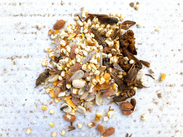 Henergy Textured Chicken Treat - Protein-Rich Insect Mix