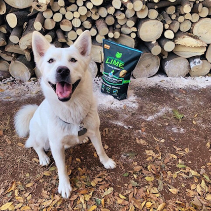 First Saturday Lime Safe Natural Insect Repellent & Odor Control