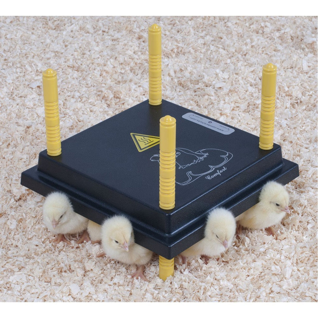 Adjustable 10x10 heating plate for chicks, 110V, 13W, energy-efficient brooder warmer by Hatching Time