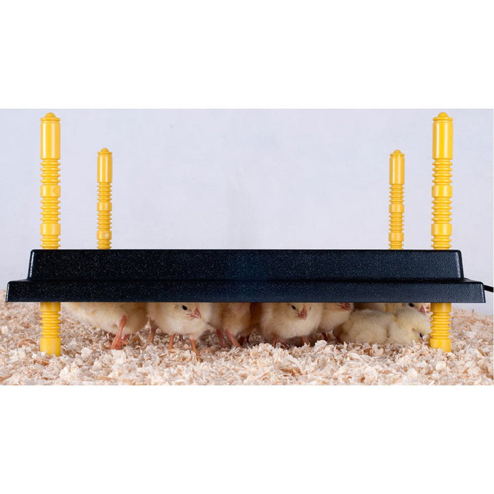 Adjustable 10x10 energy-efficient chick heating plate by Hatching Time, featuring low power consumption and height adjustabi