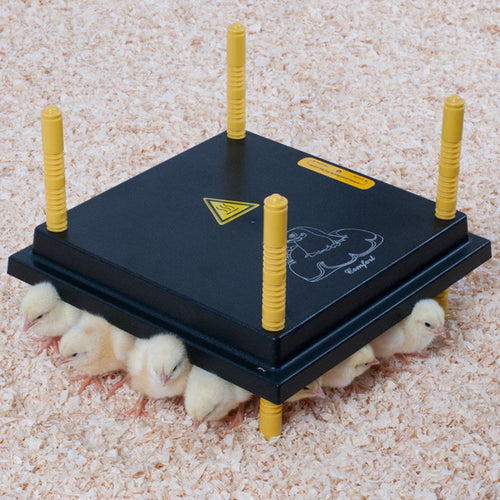 Energy-efficient 12x12 heating plate for chick brooding, adjustable height, 22W by Hatching Time