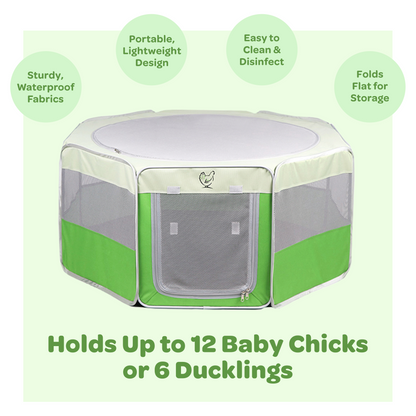 Collapsible canvas pop-up brooder for 12 chicks by My Pet Chicken, ideal for baby chick supplies.