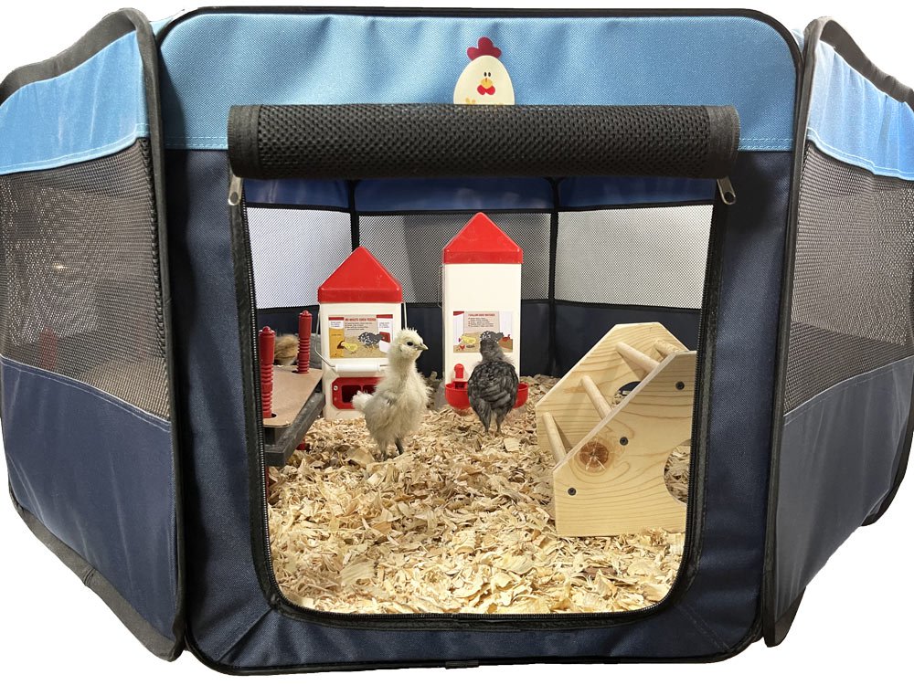 My Pet Chicken Premium Canvas Pop-Up Brooder for 12 chicks, collapsible design, lightweight gray fabric.