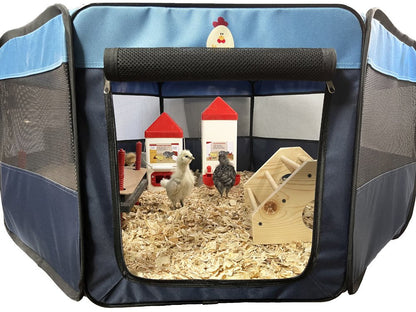 My Pet Chicken Premium Canvas Pop-Up Brooder for 12 chicks, collapsible design, lightweight gray fabric.