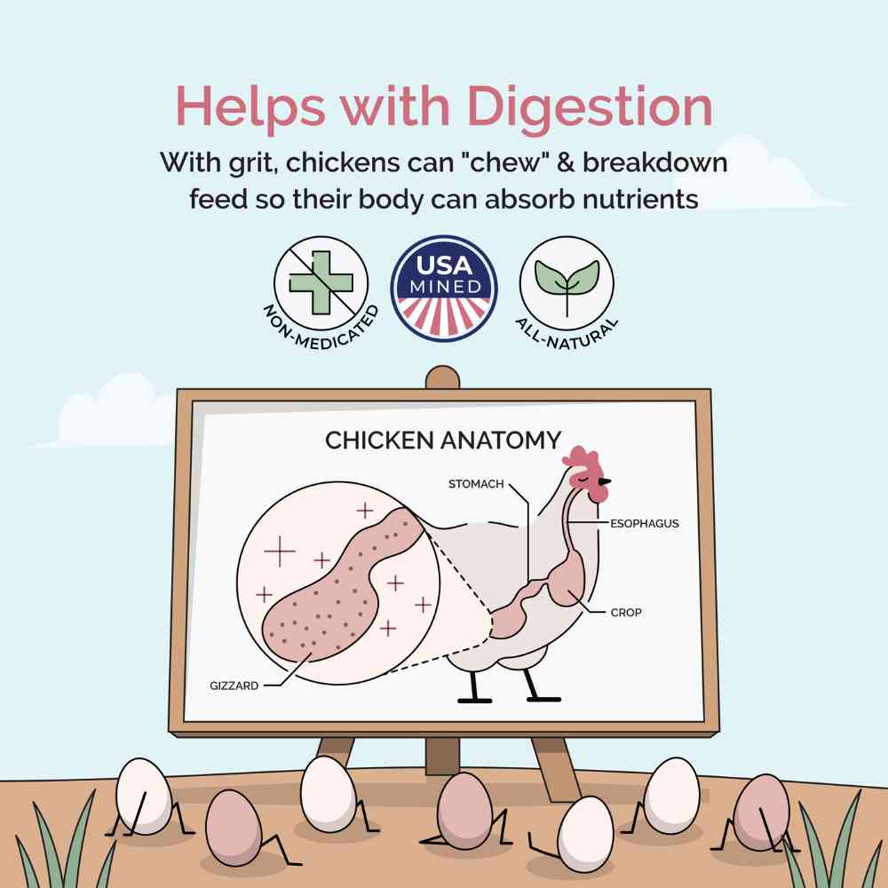 Premium Chicken Grit - Starter & Layer Poultry Digestive Aid