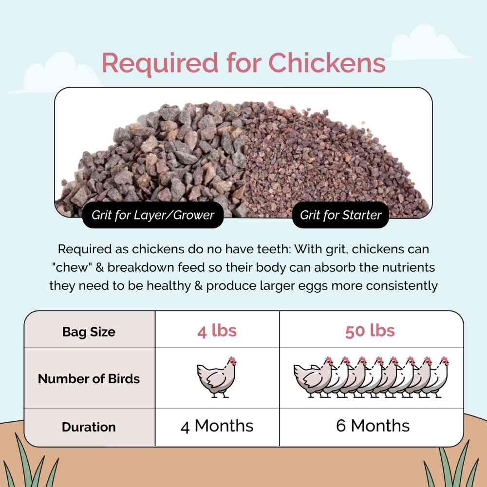 Premium Chicken Grit - Starter & Layer Poultry Digestive Aid