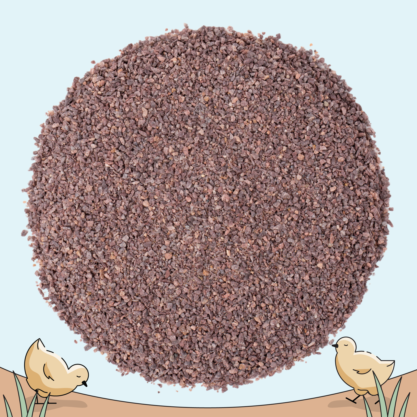 Organic Starter Feed Kit - 8 Weeks Feed & Grit for 10 Chicks