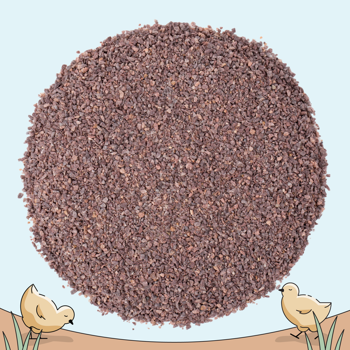 Starter Feed Kit | 8 Weeks of Organic Feed & Grit for 6 Chicks
