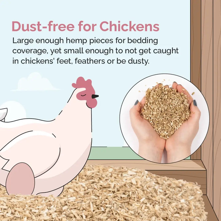 Organic Hemp Bedding for Chicken Coops - Hyper Absorbent USA Made