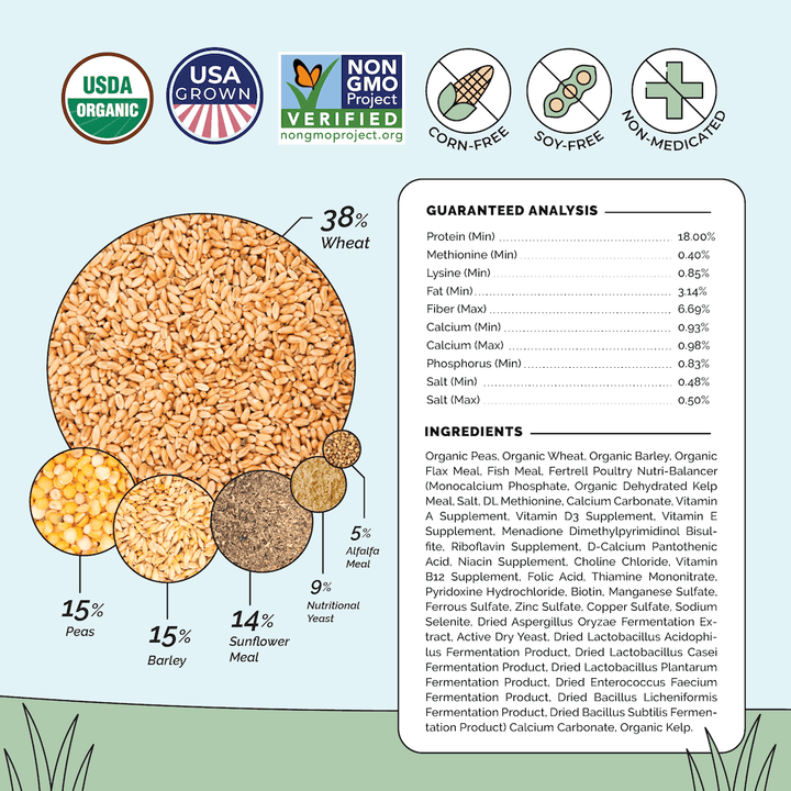Grower Feed Kit | 12 Weeks of Organic Feed & Grit for 6 Pullets