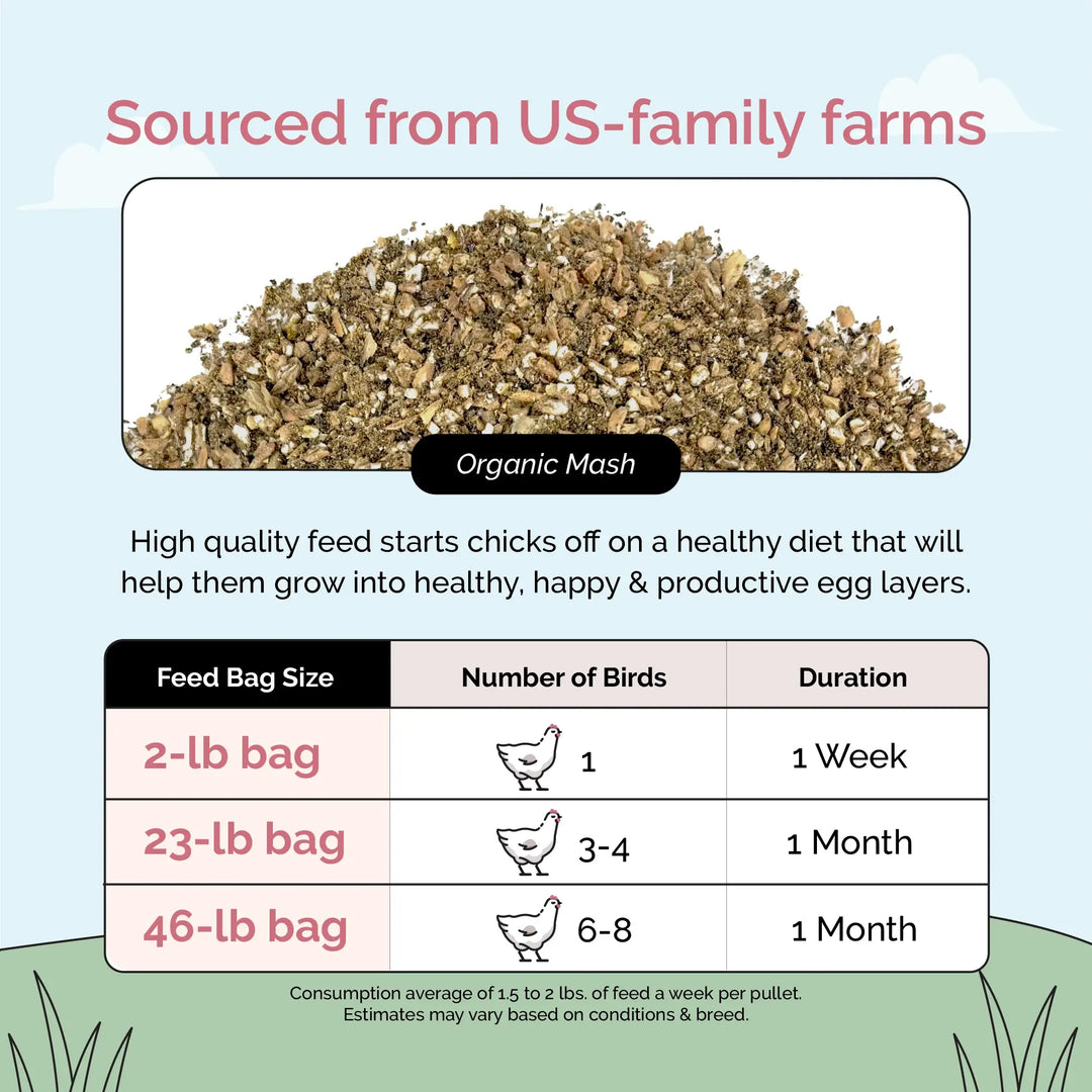 Grower Feed Kit | 12 Weeks of Organic Feed & Grit for 6 Pullets