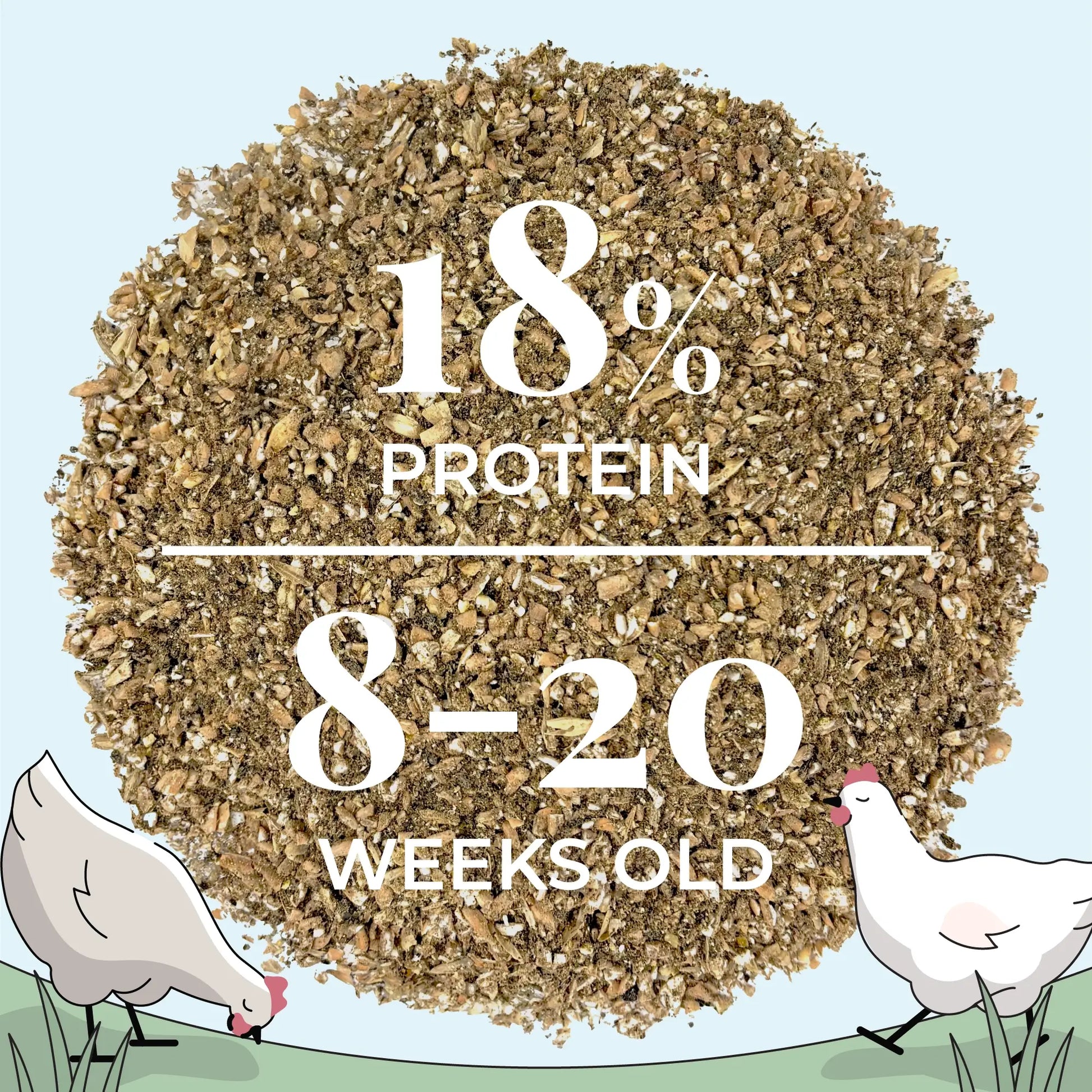 Organic chicken feed kit for 10 pullets with grit, featuring mash, pellet, and whole grain options from Mile Four.