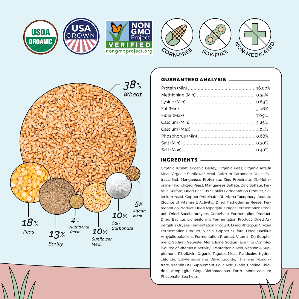 Layer Feed Kit | 1 Month of Organic Feed, Grit & Oyster Shell for 6 Layers