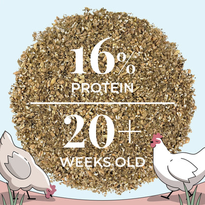 Organic Layer Feed Bundle 20 Hens | 2 Month Supply + Grit & Shell