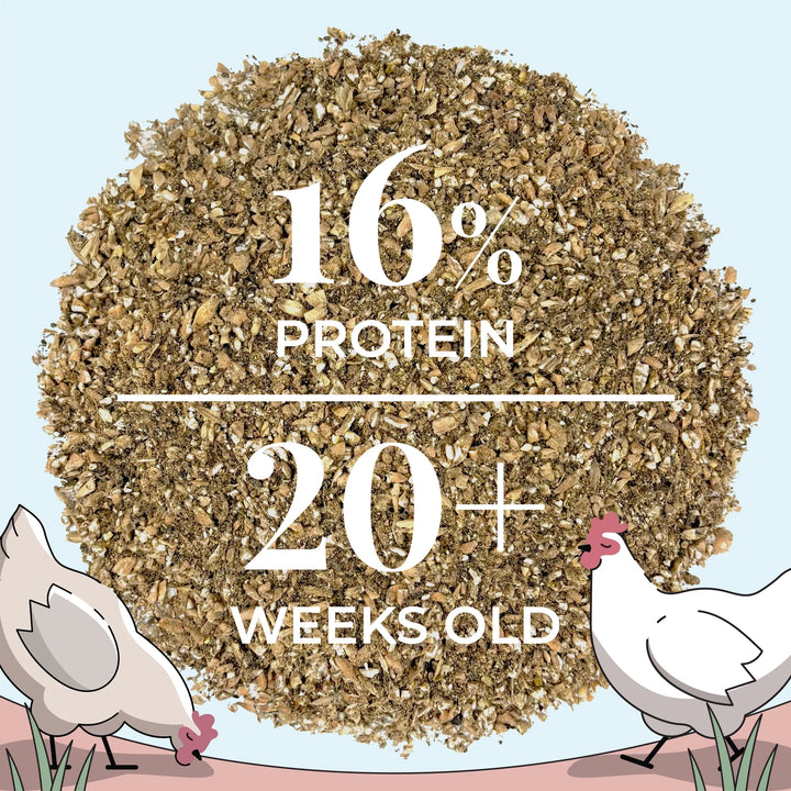 Organic Layer Feed Bundle 20 Hens | 2 Month Supply + Grit & Shell
