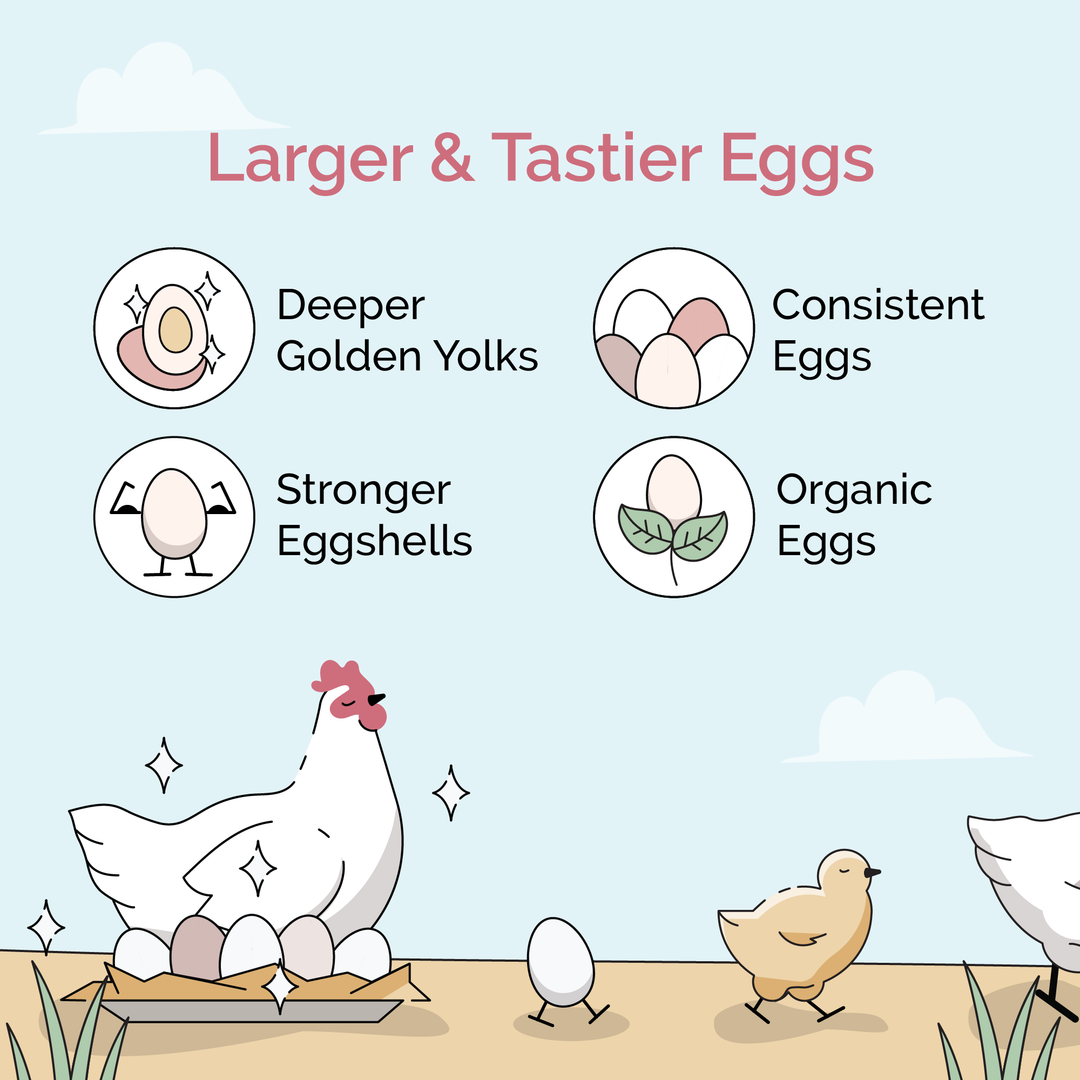 Starter Feed Kit | 8 Weeks of Organic Feed & Grit for 6 Chicks