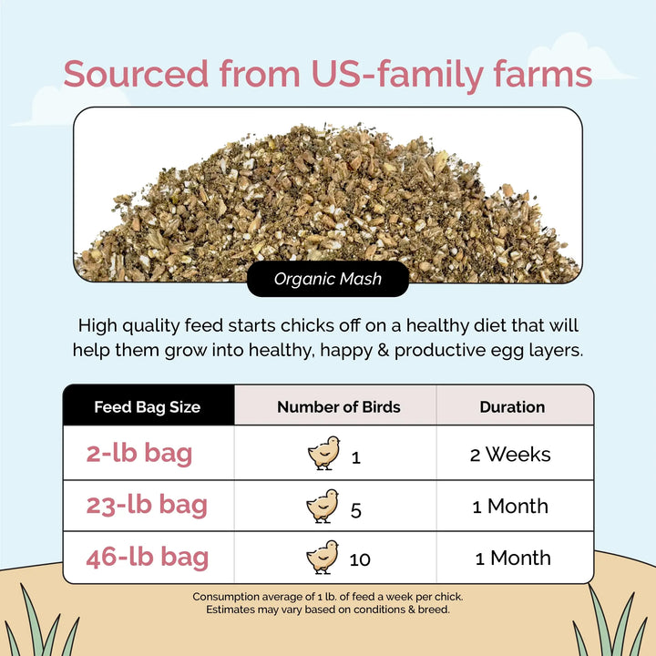 Starter Feed Kit | 8 Weeks of Organic Feed & Grit for 6 Chicks
