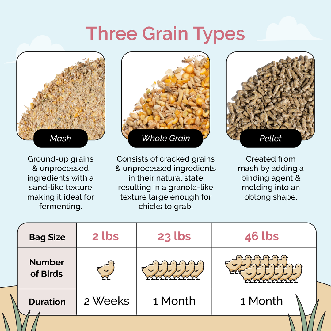 Starter Feed Kit | 8 Weeks of Organic Feed & Grit for 6 Chicks