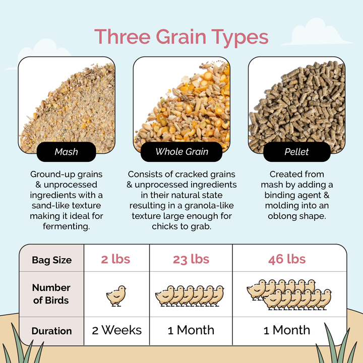 Starter Feed Kit | 8 Weeks of Organic Feed & Grit for 6 Chicks