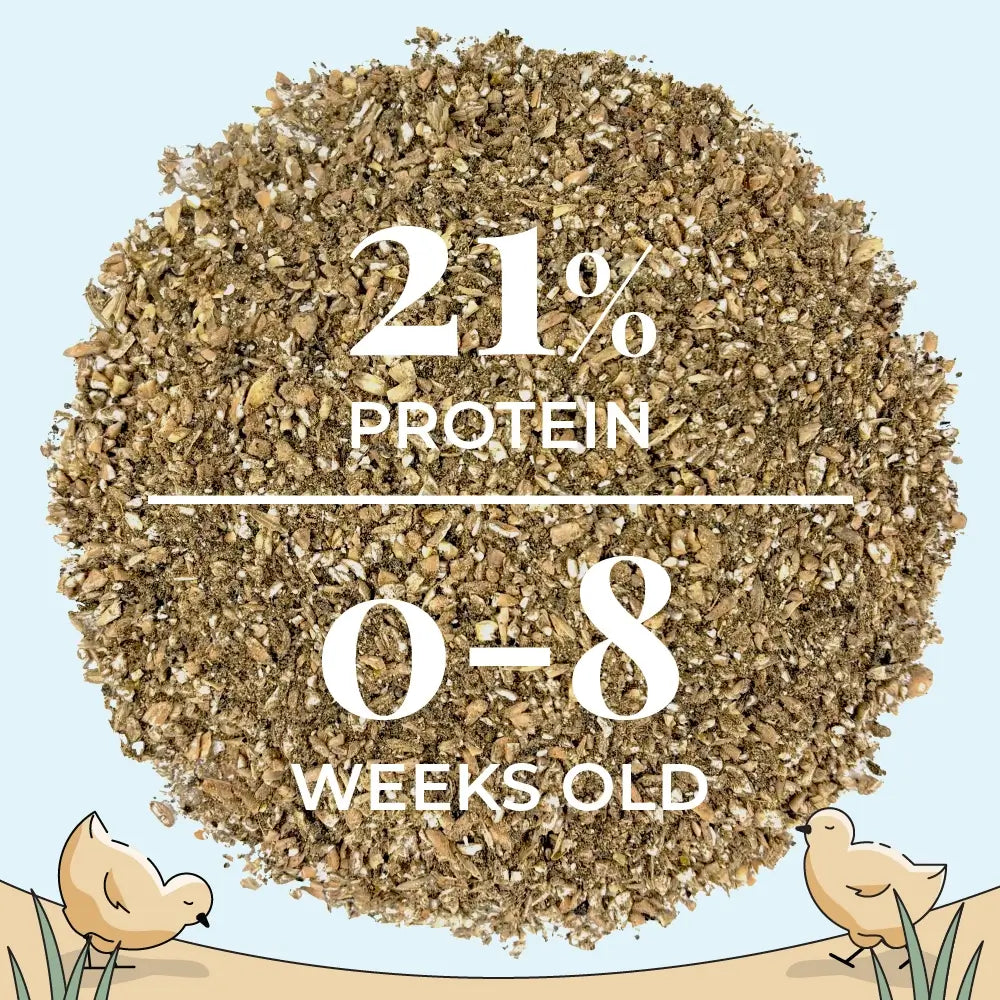 Starter Organic Chicken Feed