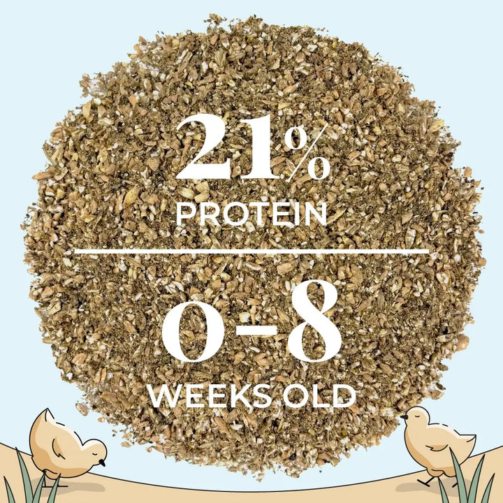 Starter Organic Chicken Feed