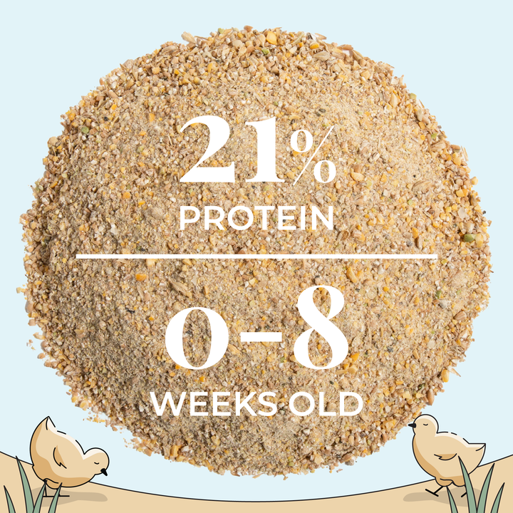 Starter Feed Kit | 8 Weeks of Organic Feed & Grit for 6 Chicks