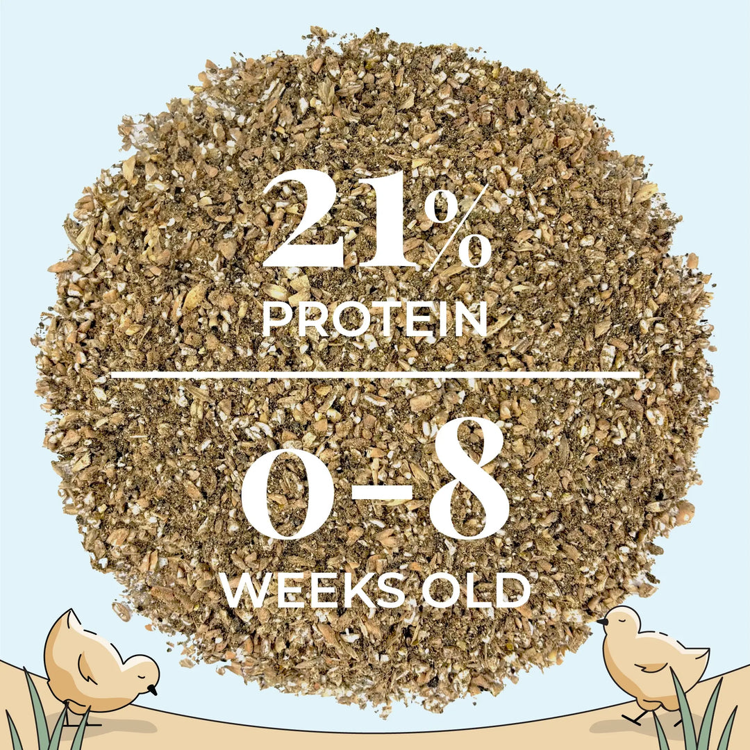 Starter Feed Kit | 8 Weeks of Organic Feed & Grit for 6 Chicks