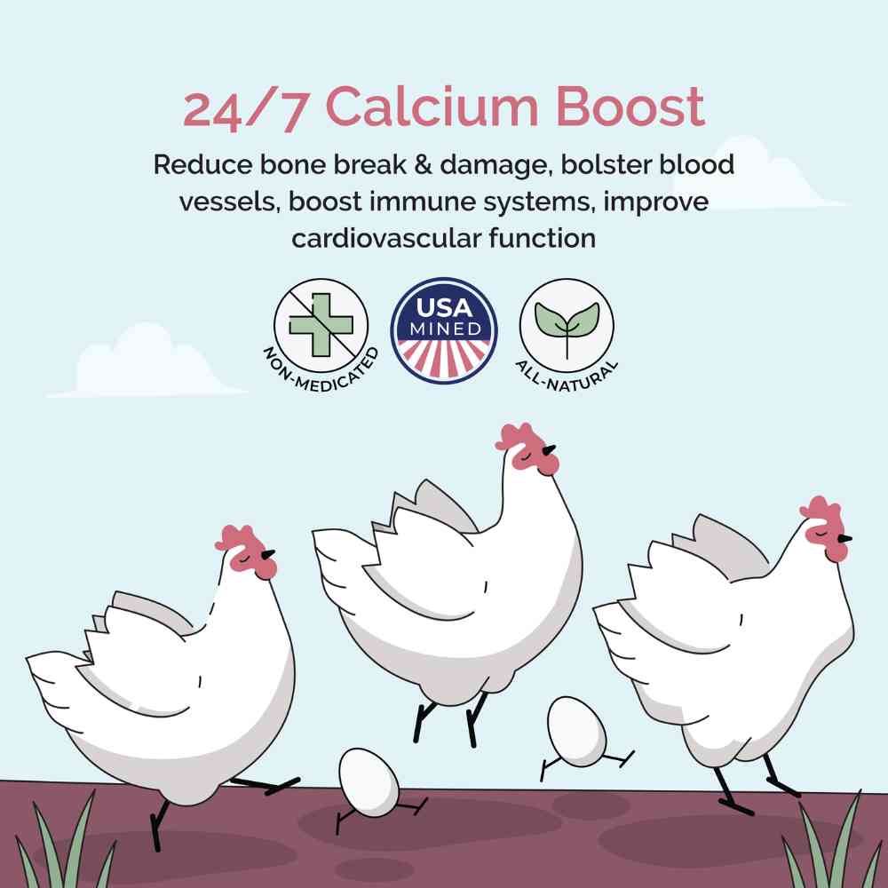 Organic oyster shell calcium supplement for laying chickens by Mile Four, available in 4 lbs and 50 lbs sizes.