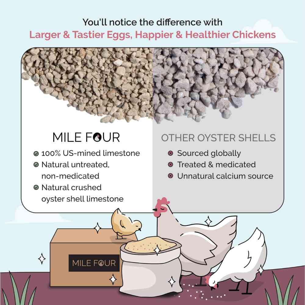 4 lbs. bag of Mile Four organic oyster shell calcium supplement for laying chickens, promoting bone health.