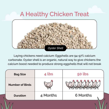 Organic Oyster Shell Calcium Supplement for Laying Chickens