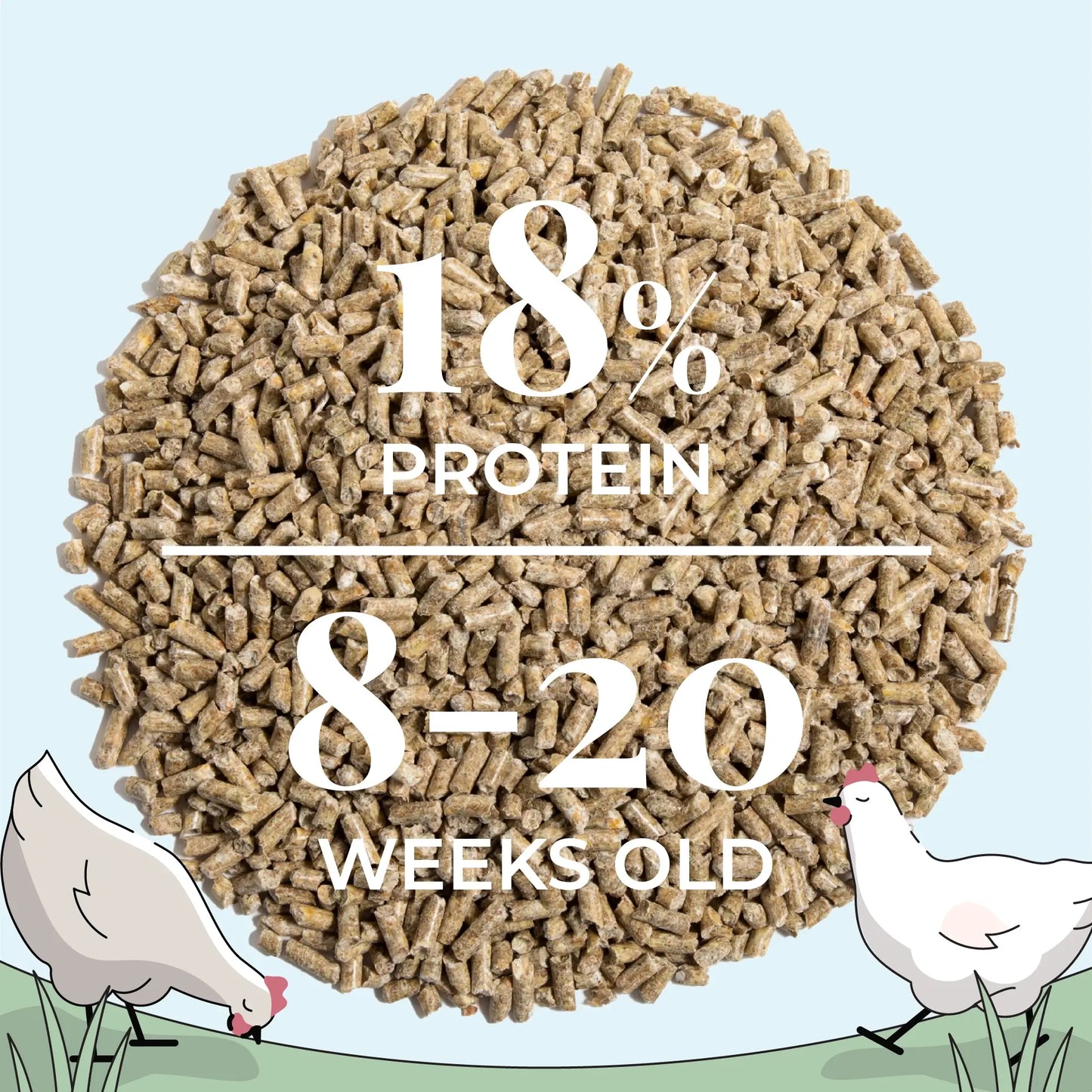 Organic Grower Feed Kit - 12 Week Supply for 10 Pullets w/ Grit