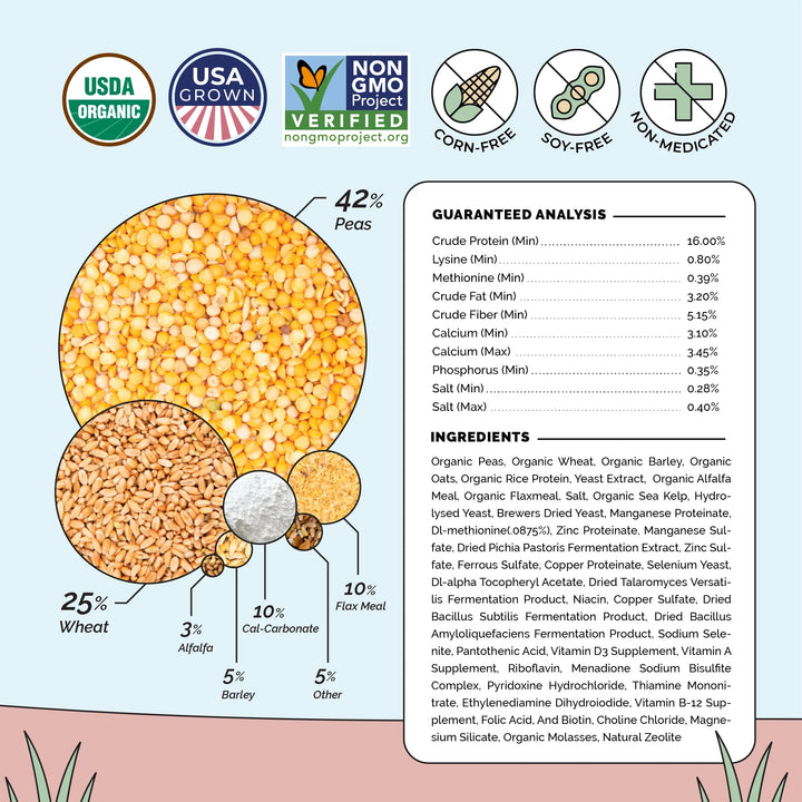 Layer Feed Kit | 1 Month of Organic Feed, Grit & Oyster Shell for 6 Layers