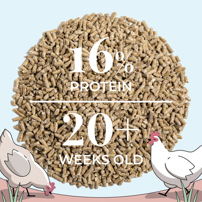 Organic Layer Feed Kit - 1 Month Supply for 10 Chickens w/ Grit
