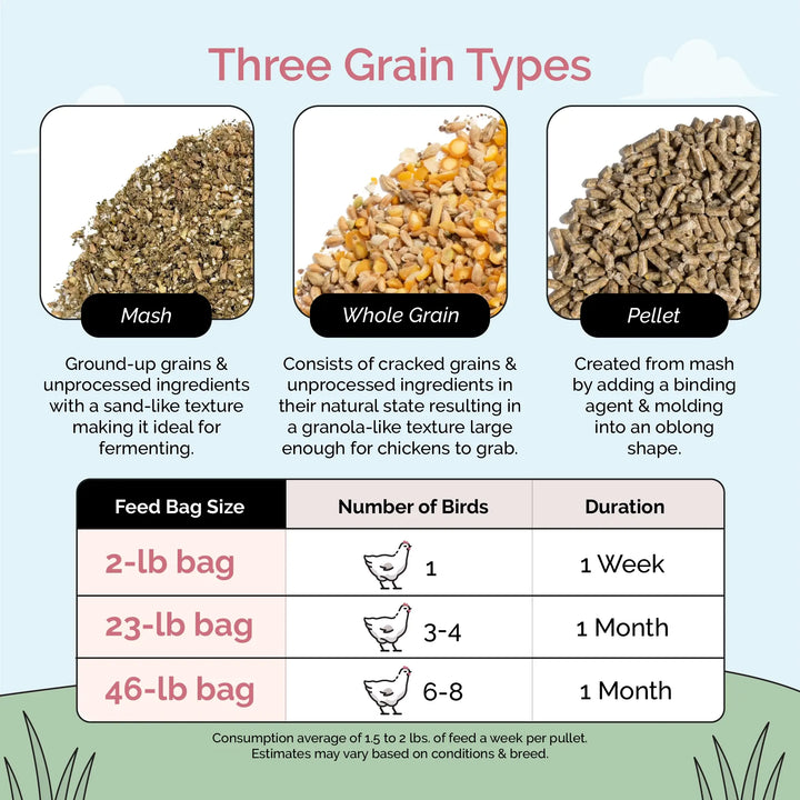 Grower Feed Kit | 12 Weeks of Organic Feed & Grit for 6 Pullets