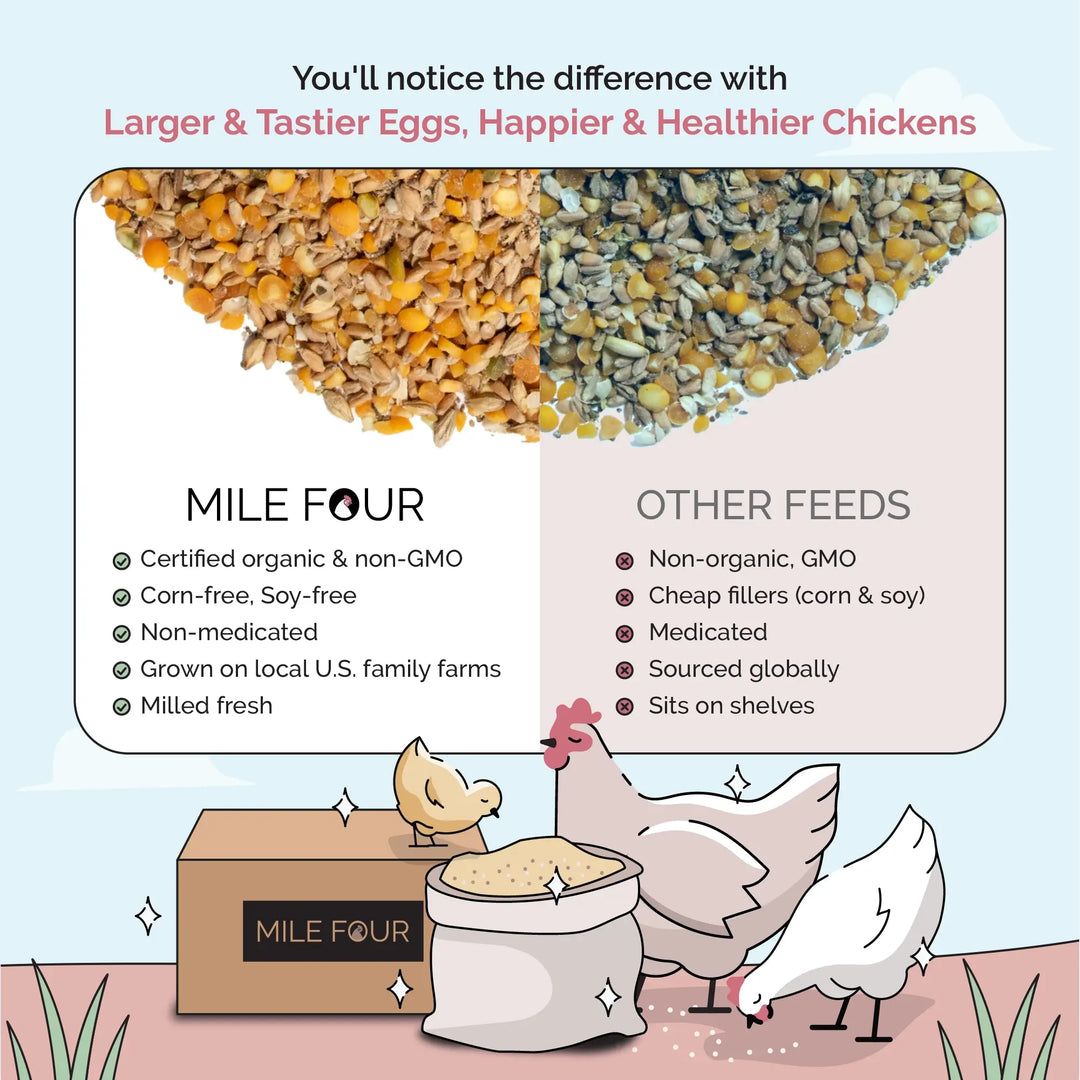 Organic Layer Feed Kit - 1 Month Supply for 6 Chickens w/ Grit